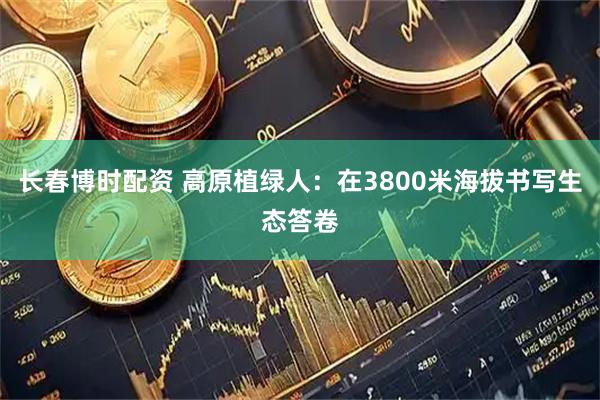 长春博时配资 高原植绿人：在3800米海拔书写生态答卷