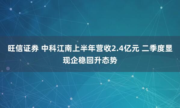 旺信证券 中科江南上半年营收2.4亿元 二季度显现企稳回升态势