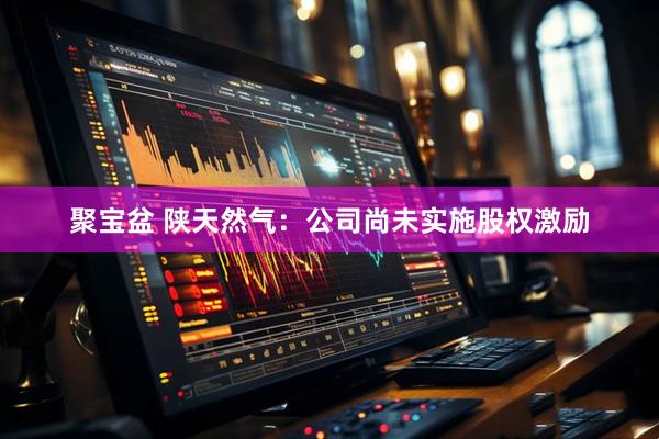 聚宝盆 陕天然气：公司尚未实施股权激励